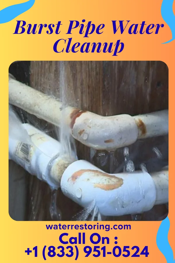 Burst Pipe Water Cleanup in Clinton, UT